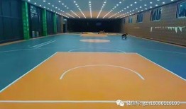 最新爆料篮球场事件视频,激烈对抗引发众怒